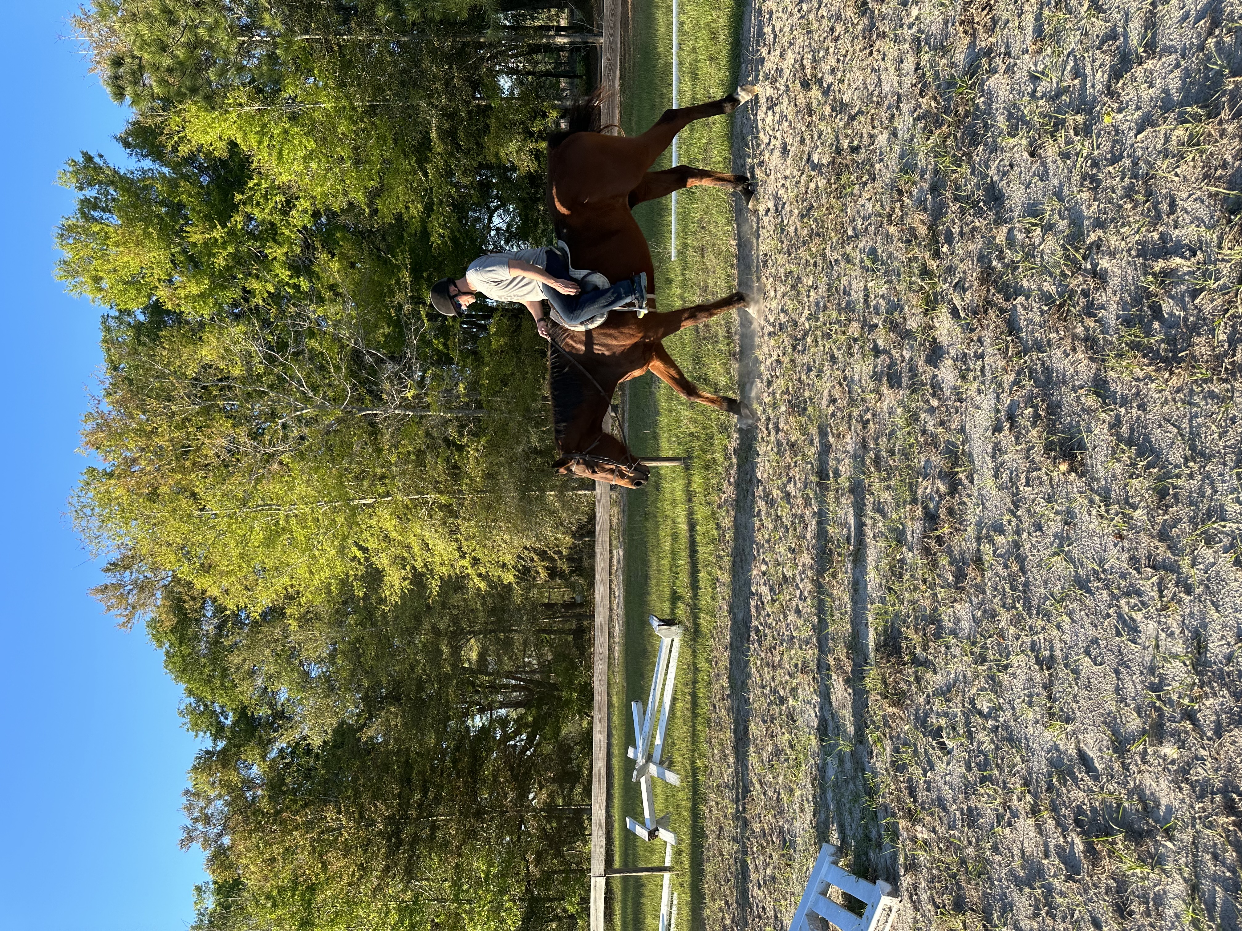 Horseback Riding for Adults in Gastonia: It's Never Too Late to Start