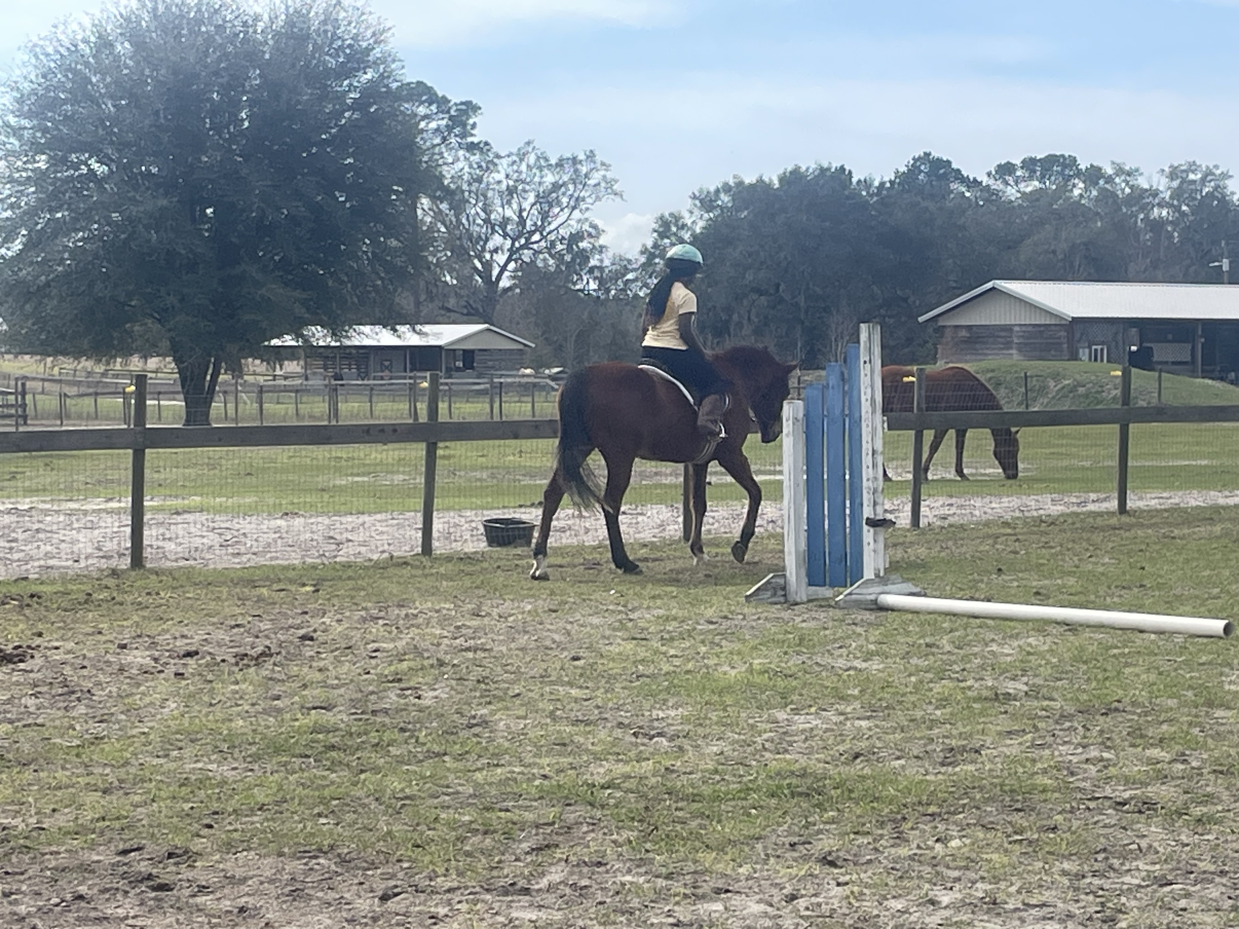 How to Overcome Fear of Horses: A Guide for Nervous Beginners